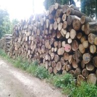 brandhout stammen te koop